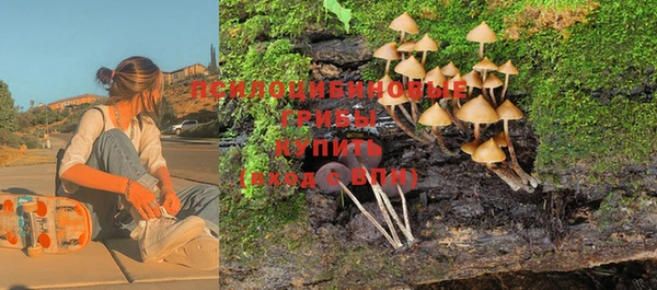 бутират Струнино