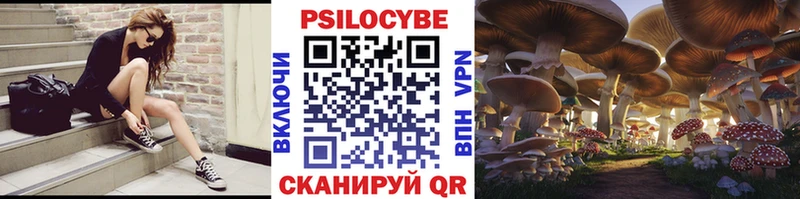 Галлюциногенные грибы прущие грибы  ОМГ ОМГ как зайти  Шарья 